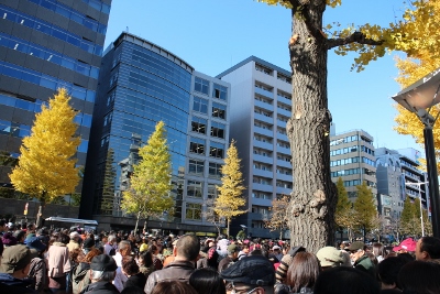 008 (400x267).jpg