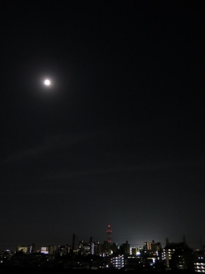 014 (300x400).jpg