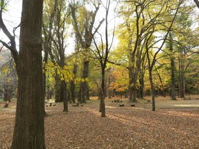 021 (400x300).jpg
