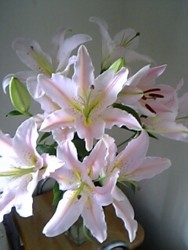 080528_080715.jpg