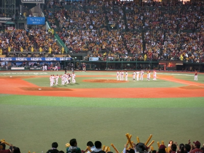 081 (400x300).jpg