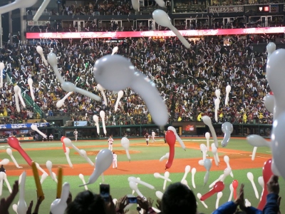 087 (400x300).jpg