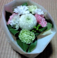 20100509184255.jpg