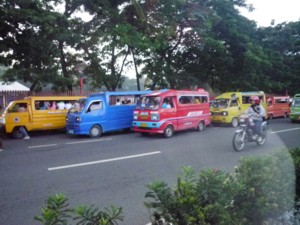 IMGP0418-1.jpg
